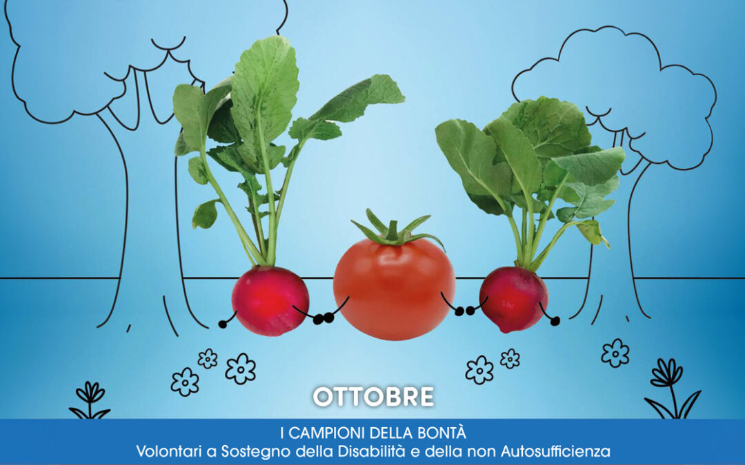 Ottobre: il Sostengono alla Disabilità e alla Non Autosufficienza